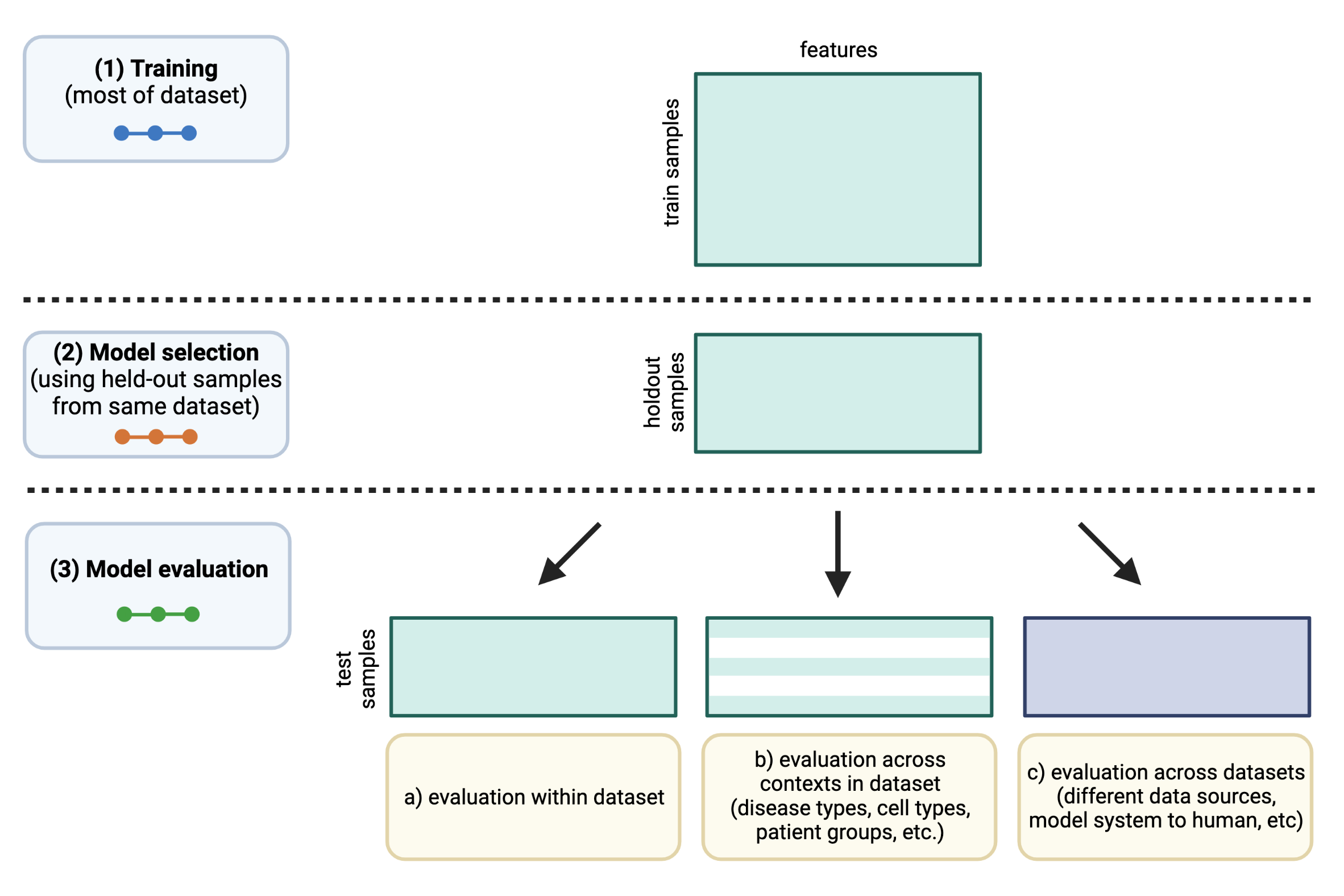 Figure 1: Schematic of experimental design. The colors of the “dots” in the training/model selection/model evaluation panels on the left correspond to train/CV/test curves in the following results figures.