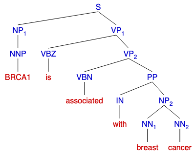Figure 2: A visualization of a constituency parse tree using the following sentence: “BRCA1 is associated with breast cancer” [65]. This type of tree has the root start at the beginning of the sentence. Each word is grouped into subphrases depending its correlating part of speech tag. For example, the word “associated” is a past participle verb (VBN) that belongs to the verb phrase (VP) subgroup.