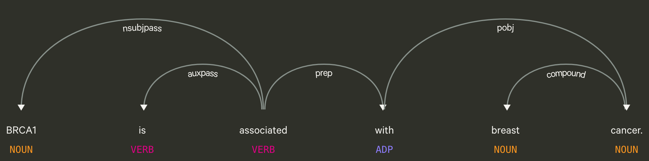Figure 3: A visualization of a dependency parse tree using the following sentence: “BRCA1 is associated with breast cancer” [66]. For these type of trees the root begins with the main verb of the sentence. Each arrows represents the dependency shared between two words. For example, the dependency between BRCA1 and associated is nsubjpass, which stands for passive nominal subject. This means that “BRCA1” is the subject of the sentence and it is being referred to by the word “associated”.