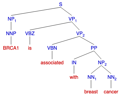 Figure 2: A visualization of a constituency parse tree using the following sentence: “BRCA1 is associated with breast cancer” [73]. This type of tree has the root start at the beginning of the sentence. Each word is grouped into subphrases depending on its correlating part of speech tag. For example, the word “associated” is a past participle verb (VBN) that belongs to the verb phrase (VP) subgroup.