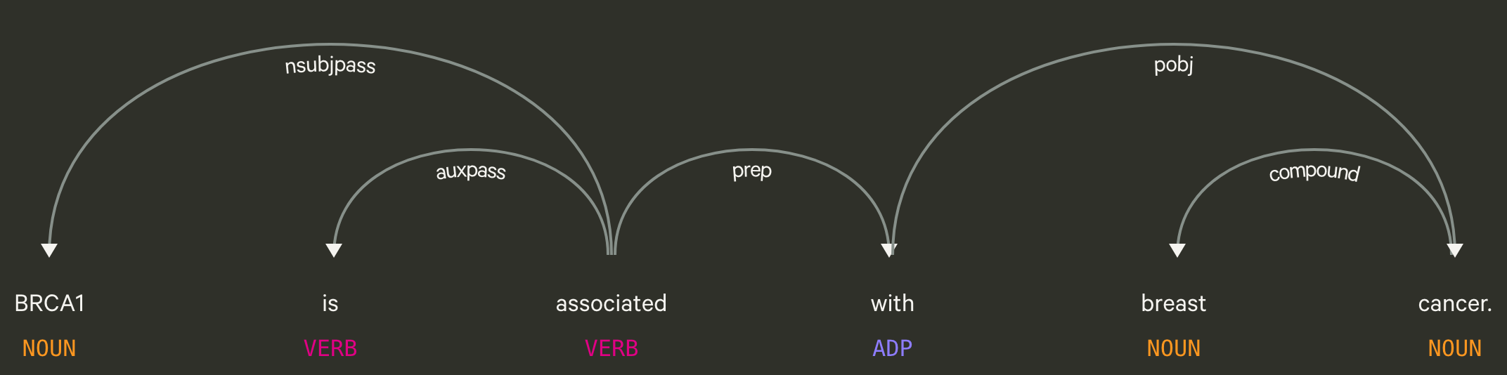 Figure 3: A visualization of a dependency parse tree using the following sentence: “BRCA1 is associated with breast cancer” [74]. For these types of trees, the root begins with the main verb of the sentence. Each arrow represents the dependency shared between two words. For example, the dependency between BRCA1 and associated is nsubjpass, which stands for passive nominal subject. This means that “BRCA1” is the subject of the sentence and it is being referred to by the word “associated”.