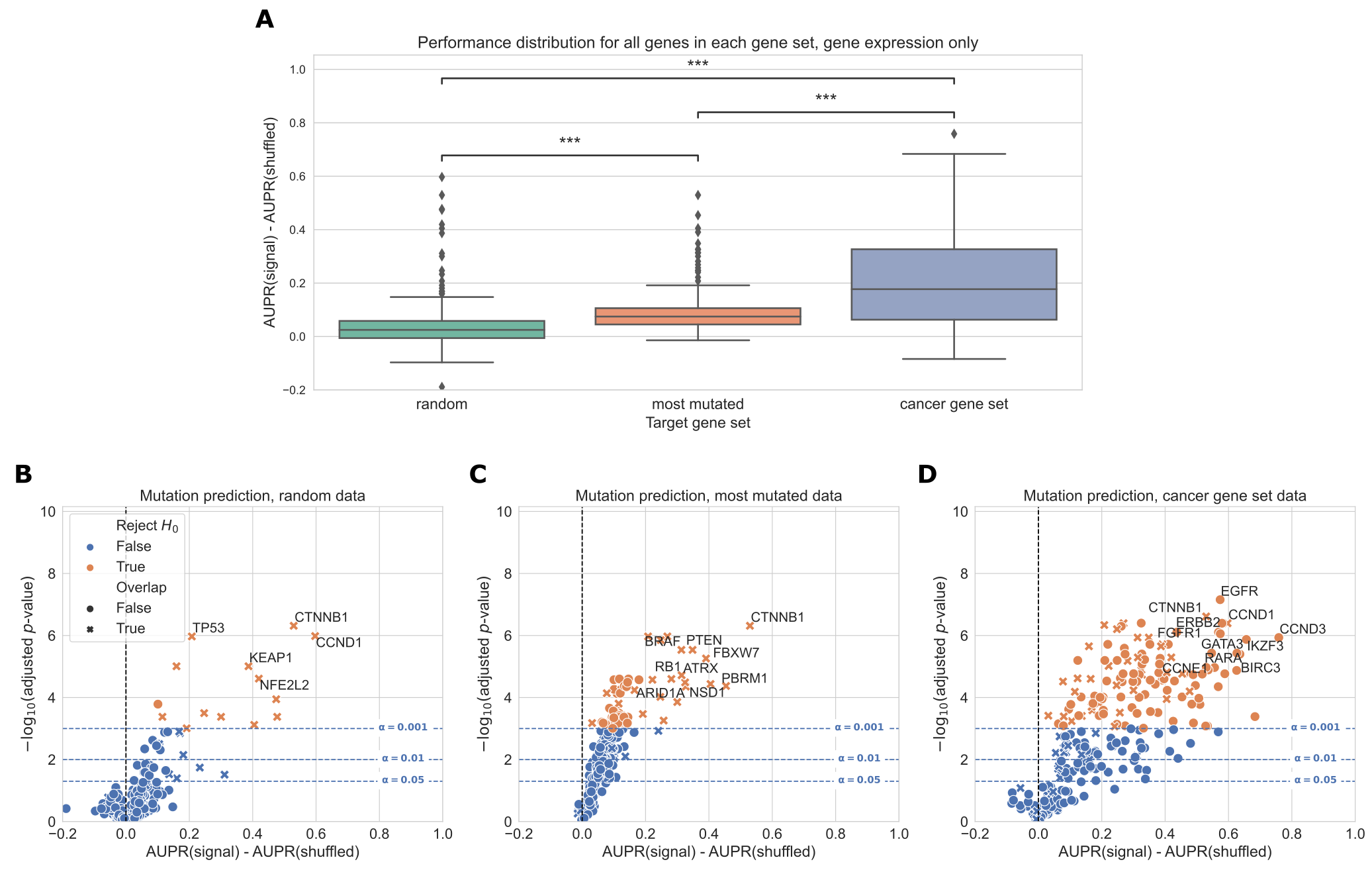Figure 2: A. Overall distribution of performance across three gene sets, using gene expression (RNA-seq) data to predict mutations. Each data point represents the mean cross-validated AUPR difference, compared with a baseline model trained on permuted mutation presence/absence labels, for one gene in the given gene set; notches show bootstrapped 95% confidence intervals. “random” = 268 random genes, “most mutated” = 268 most mutated genes, “cancer gene set” = 268 cancer related genes from curated gene sets. Significance stars indicate results of Bonferroni-corrected pairwise Wilcoxon tests: **: p < 0.01, ***: p < 0.001, ns: not statistically significant for a cutoff of p = 0.05. B, C, D. Volcano-like plots showing mutation presence/absence predictive performance for each gene in each of the three gene sets. The x-axis shows the difference in mean AUPR compared with a baseline model trained on permuted labels, and the y-axis shows p-values for a paired t-test comparing cross-validated AUPR values within folds. Points (genes) marked with an “X” are overlapping between the cancer gene set and either the random or most mutated gene set.