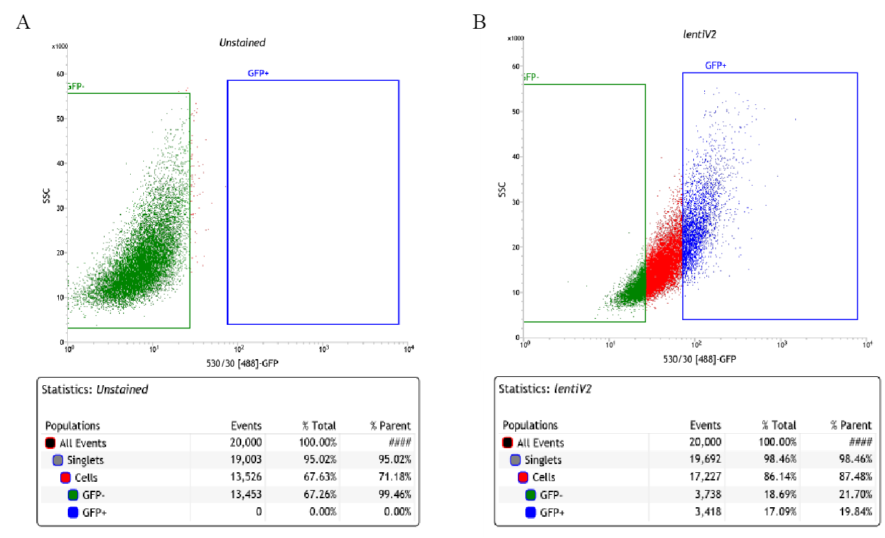Figure S2: Fluorescence-Activated Cell Sorting Gate Setting. A. HepG2_UnStained WT. B. HepG2_lentiV2 with viral transduction stained with LipidSpot™488. HepG2_lentiV2 cells were FAC sorted, 20% of GFP-High and 20% of GFP-Low cell populations were collected.