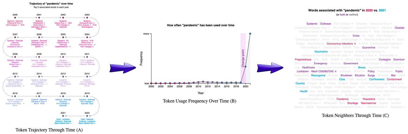 Figure 5: A. The trajectory visualization of the token ‘pandemic’ through time. It starts at the first mention of the token and progresses through each subsequent year. Every data point shows the top five neighbors for the respective token. B. The usage frequency of the token ‘pandemic’ through time. The x-axis shows the year, and the y-axis shows the frequency for each token. C. A word cloud visualization for the top 25 neighbors for the token ‘pandemic’ each year. This visualization highlights each neighbor from a particular year and allows for the comparison between two years. Tokens in purple are shared within both years, while tokens in red or blue are unique to their respective year.